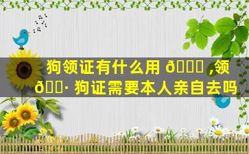 狗领证有什么用 🐒 ,领 🕷 狗证需要本人亲自去吗